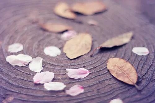 今週お休みします