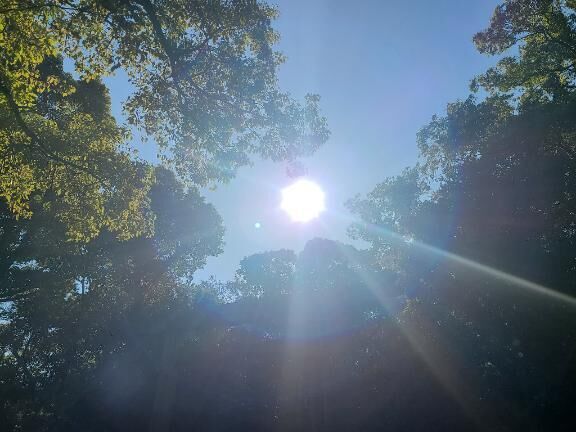 おはようございます