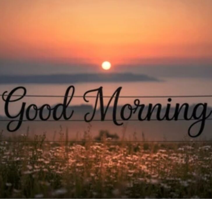 おはようございます