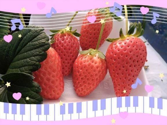 ❤️いちごぉー🍓❤️