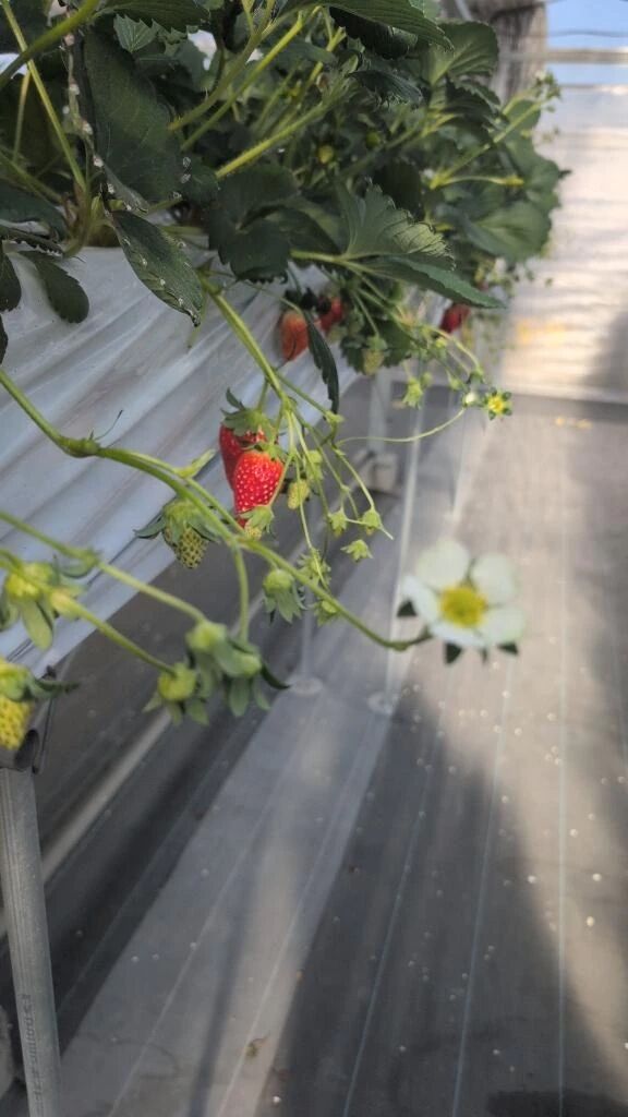 ぐーたらたら😌