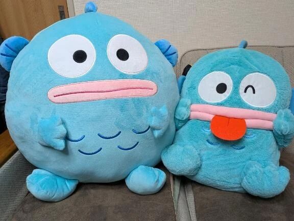 おはようです✨️