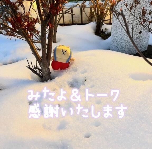 みたよ＆メッセージ♡Thank you♡