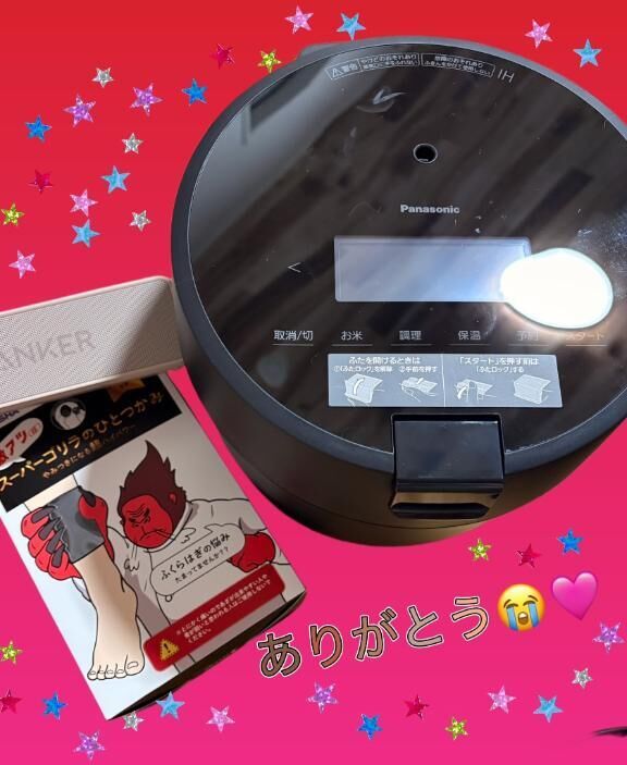 柴犬にQOL上げてもらってます