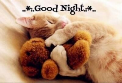 ＊おやすみなさい＊