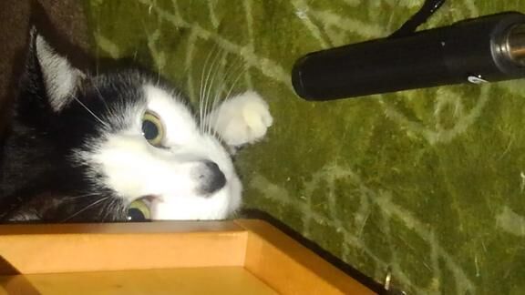 意識する日1月の巻