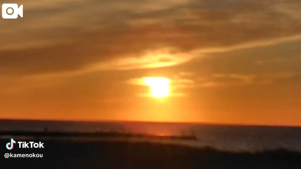 今週は、4日間出勤しました😊