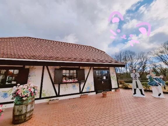 クエスト成功⚔️