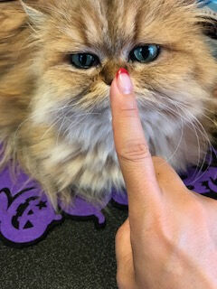 ★今日のお礼(^^)