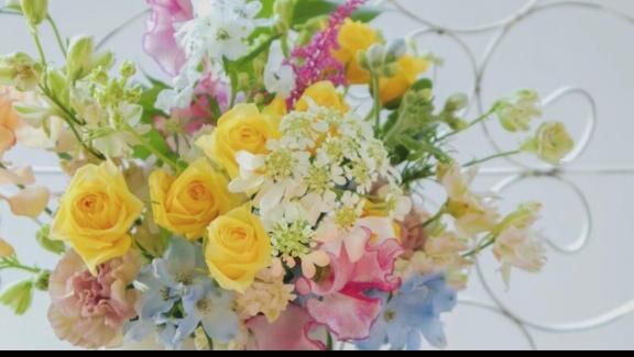 [お題]from:カッパの子さん