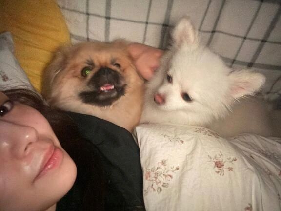 出勤予定日🕊️