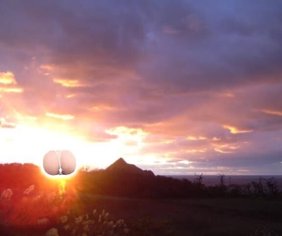 おはようございます