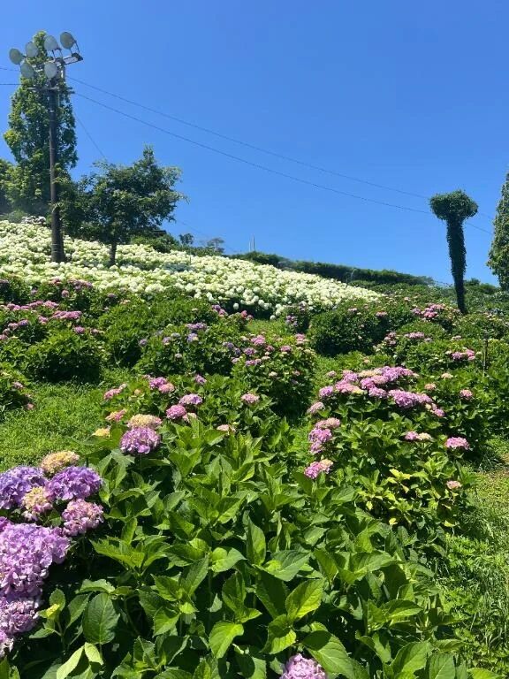 ごめんなさい🙏💦