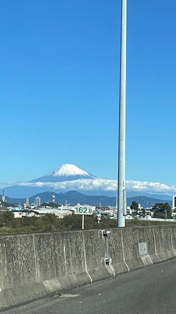朝からいます！