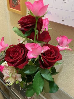 ★今週も宜しくお願いします♪