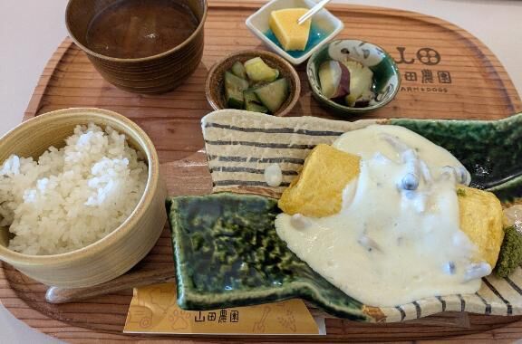 アウトレット♡