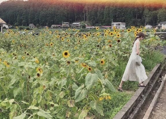 るみ式ダイエット法