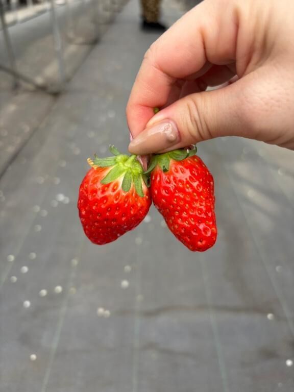 おはようございます(*⌒▽⌒*)