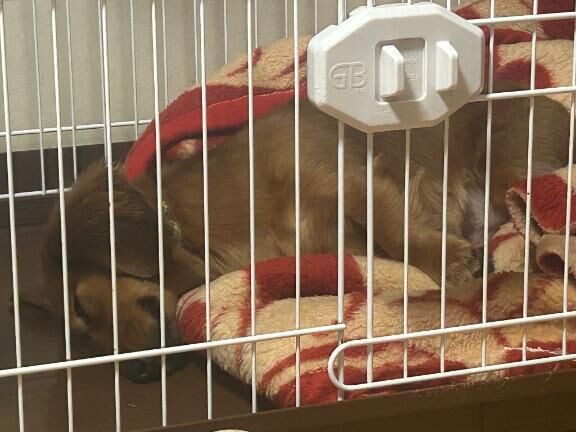 『初対面で驚かれる理由♡』 ♡