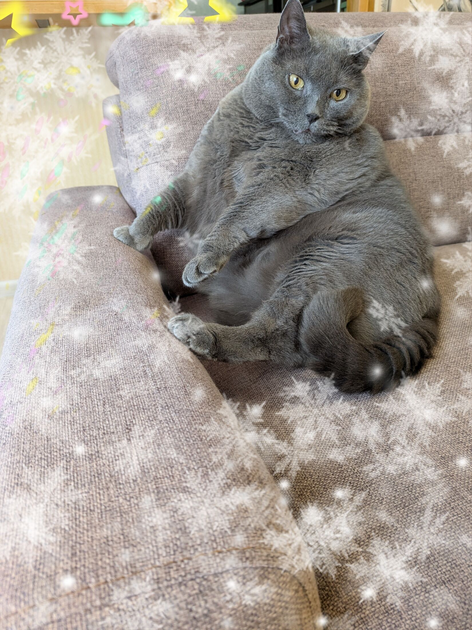 昨日もありがとう♡