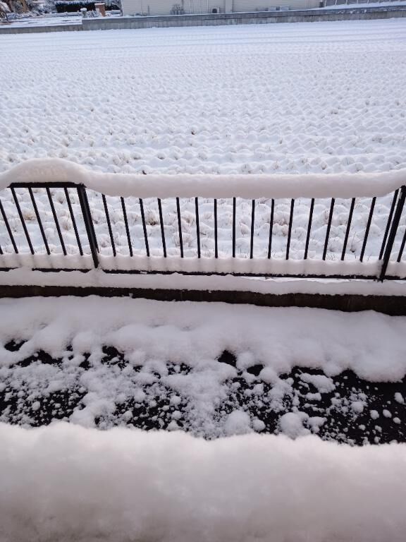 雪積もった〜！