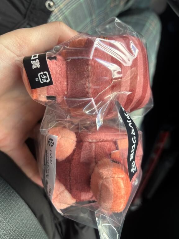 ゲームがすきな私は