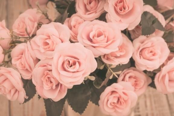 ありがとうございました