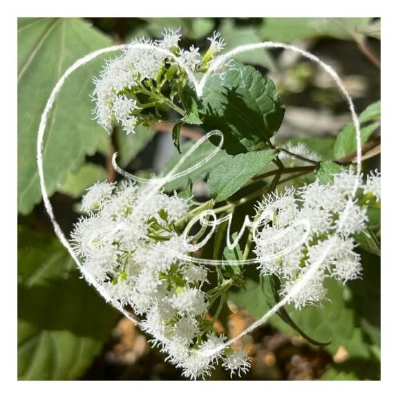 1/21♪ありがとう