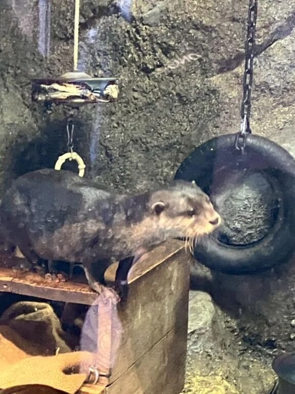 🌸こんばんは🌸