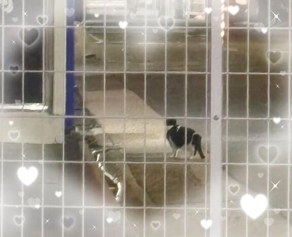 明日18時〜ラスト💗