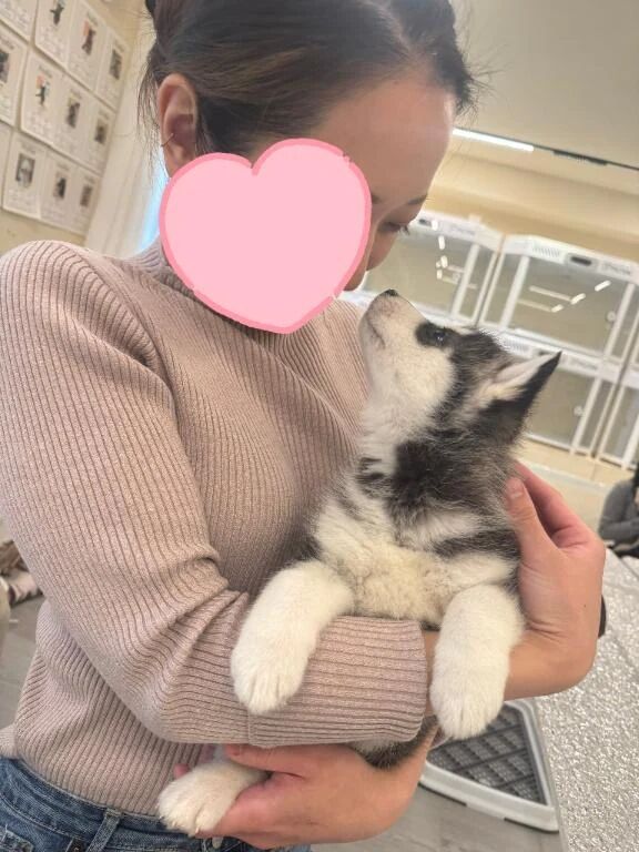 ♡♡お知らせ♡♡