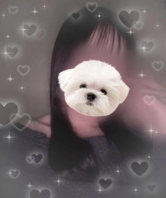 ありがとねん(  `･ω･´)！！！