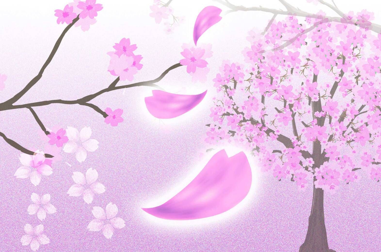 おはようございます❤️