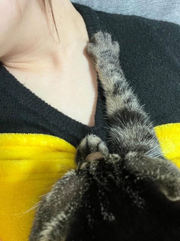 また雪だ〜❄️