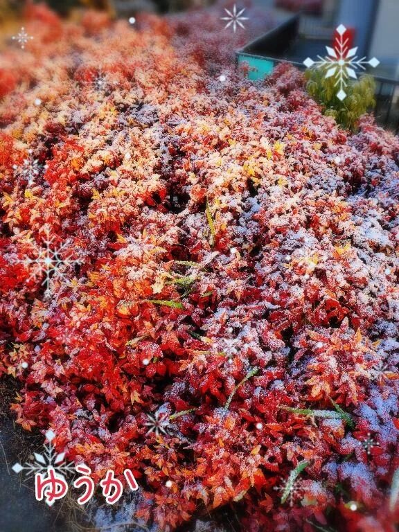 1/30ご予約ありがとうございます