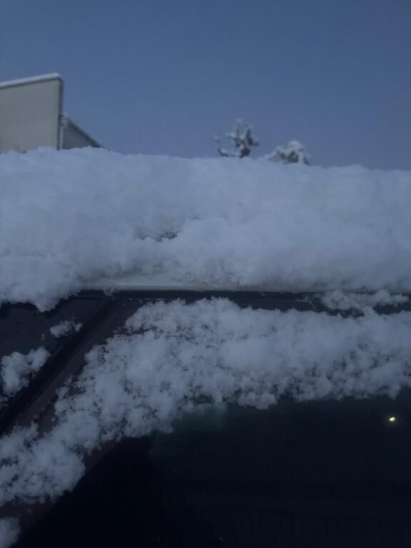 ご予約のダーリン様