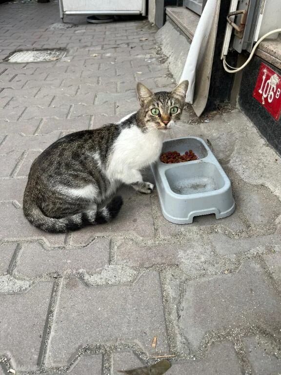 今日も冷えます。