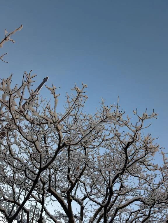 おはよのございます〜♪