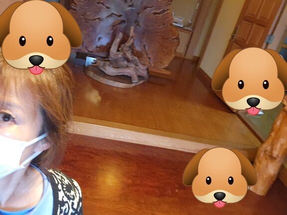 あれ？日記の形状が？