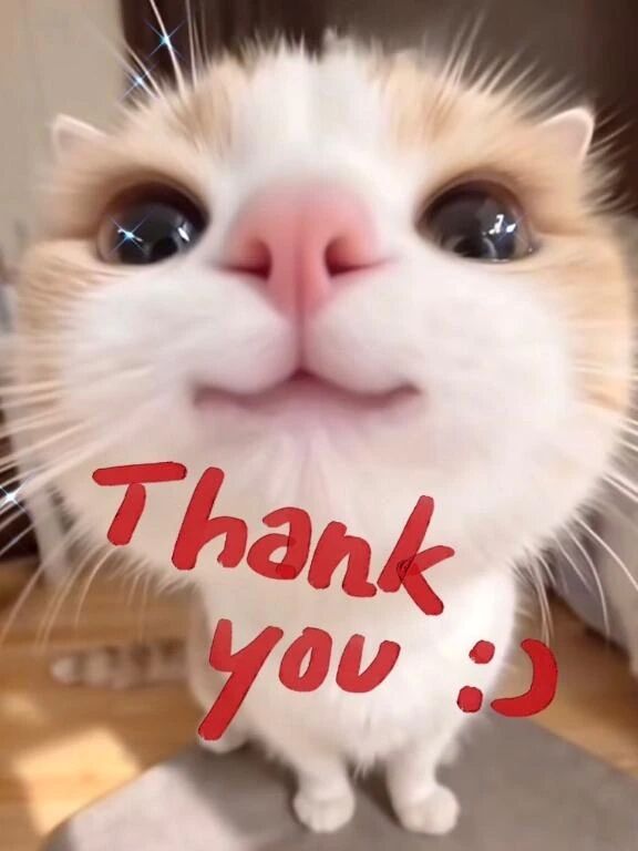 1/29❤️お礼❤️