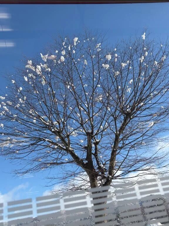 こんばんわ☃️