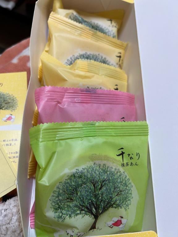 お里帰りにあの子が買う