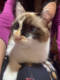 ★2月度も宜しくお願いします(^^)