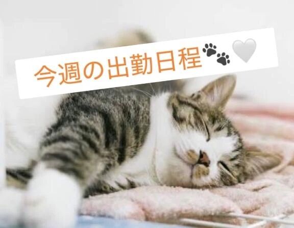 来週の出勤予定