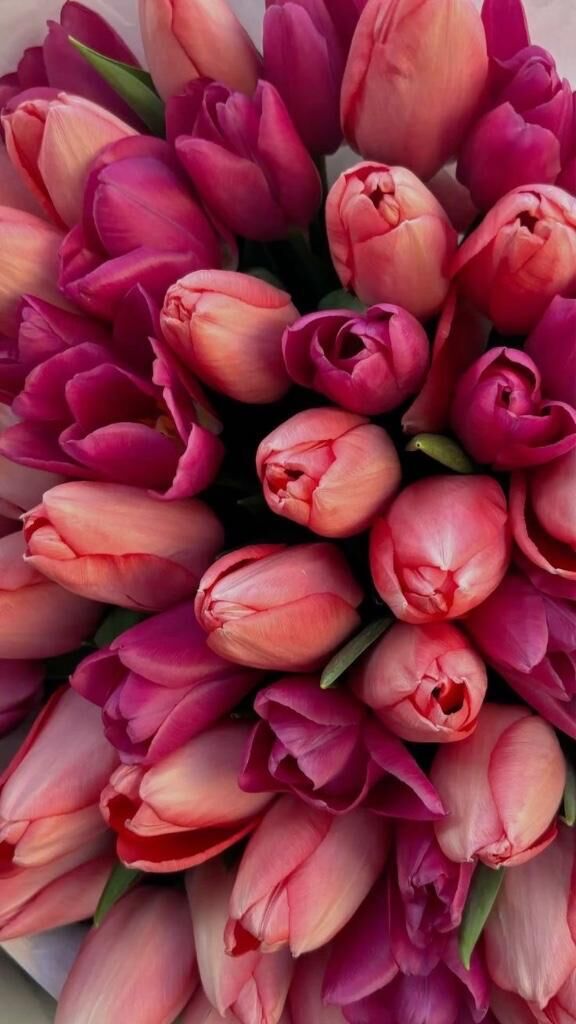 ありがとうございました