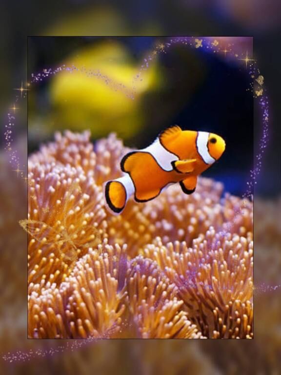 優雅にスイスイ(♡♡♡ω♡♡♡)