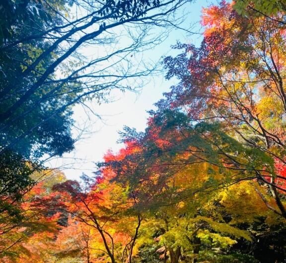 昨日はありがとうございました♡♡