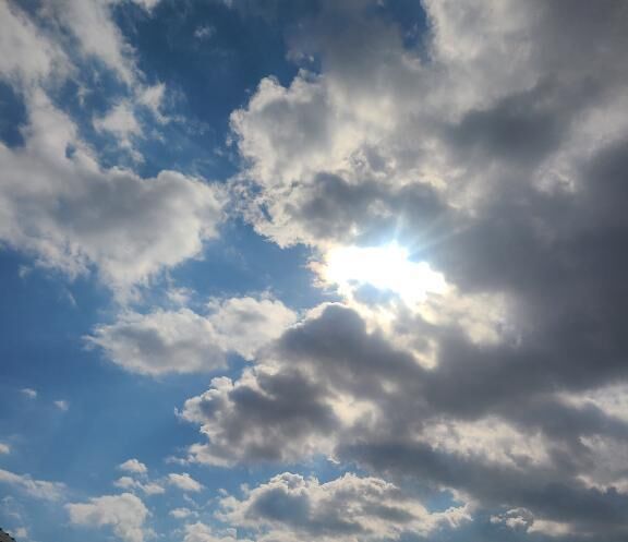 おはようございます