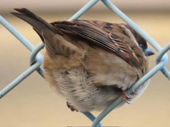 おはようございます...