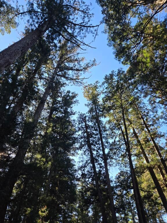 こんばんは♡♡♡